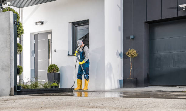 Best Patio and Deck Pressure Washing  in Shoreview, MN